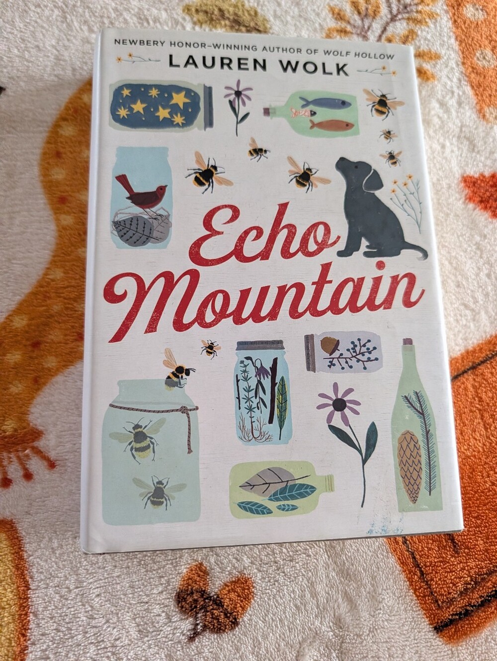 Echo Mountain by Lauren Wolk Hardcover Book